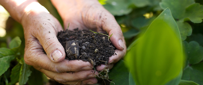 BIOFERTILIZANTE ENRIQUECIDO COM MAMONA