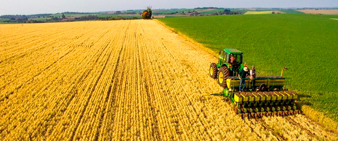 Brasil poderá colher até 238 milhões de toneladas de grãos na safra 2018/19
