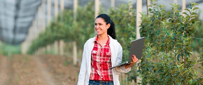 CARREIRA EM AGRONOMIA: QUAIS SÃO AS POSSIBILIDADES DE ATUAÇÃO?