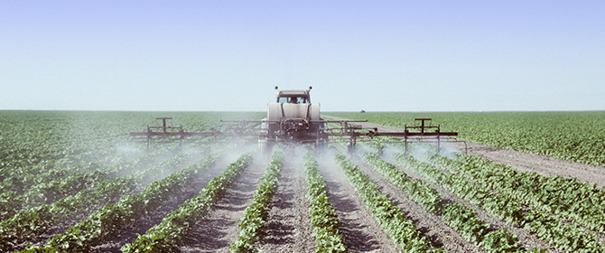 Engenheiros agrônomos passam a ser responsáveis pelo receituário de agrotóxicos