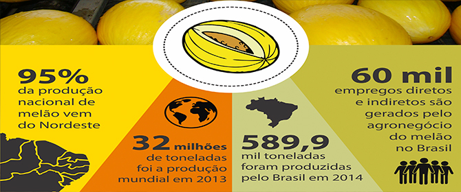 Melão brasileiro tem pegada de carbono 50% menor que o produzido no exterior